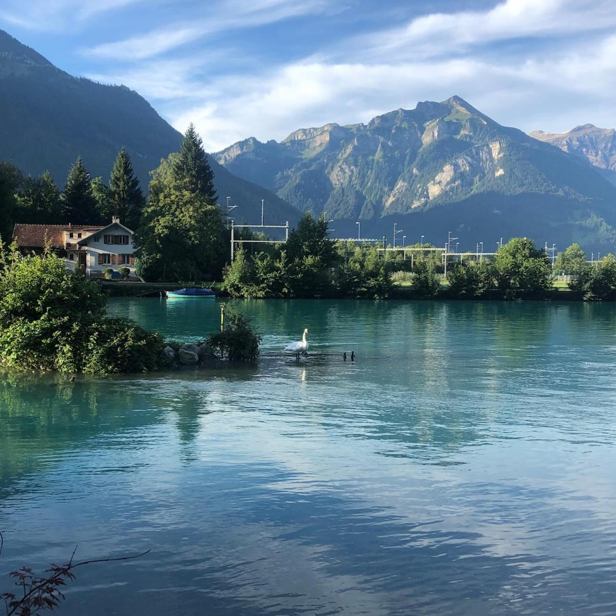 Aareblick 68 Charming With River View Apartamento Ringgenberg